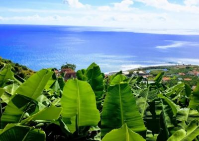 SONNIGE LAGE MIT AUSSICHT in Ponta do Sol (Madeira)