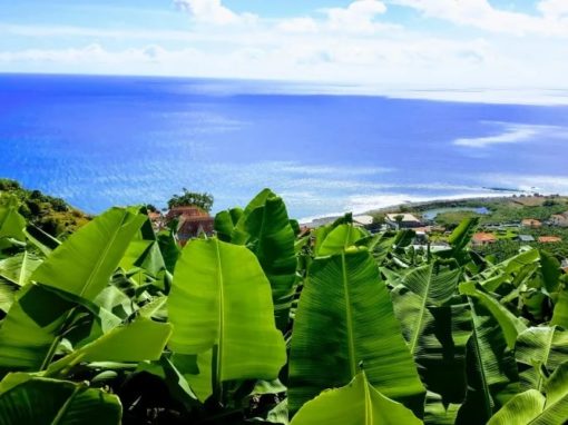 SONNIGE LAGE MIT AUSSICHT in Ponta do Sol