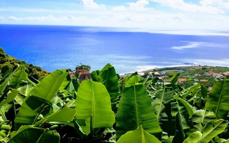 SONNIGE LAGE MIT AUSSICHT in Ponta do Sol