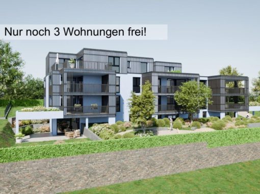 ATTRAKTIVES WOHNEN MIT WEITSICHT in Villmergen