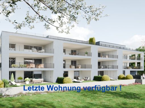 NEUBAU; WOHNEN AN PERFEKTER ZENTRUMSLAGE in Villmergen