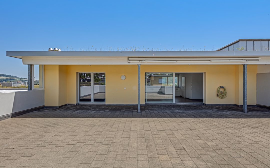 HELLE, RUHIGE ATTIKA MIT AUSSICHT UND PRIVATSPHÄRE in Dintikon