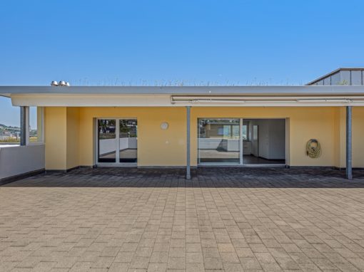 HELLE, RUHIGE ATTIKA MIT AUSSICHT UND PRIVATSPHÄRE in Dintikon