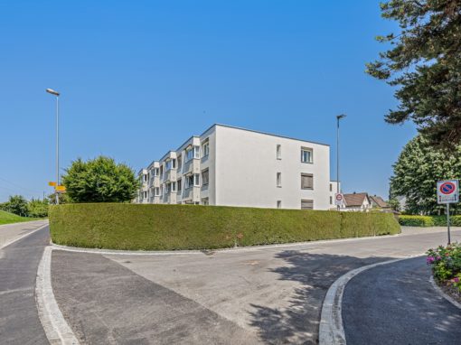 WOhlen 5 Kopie WOhlen 5 Kopie